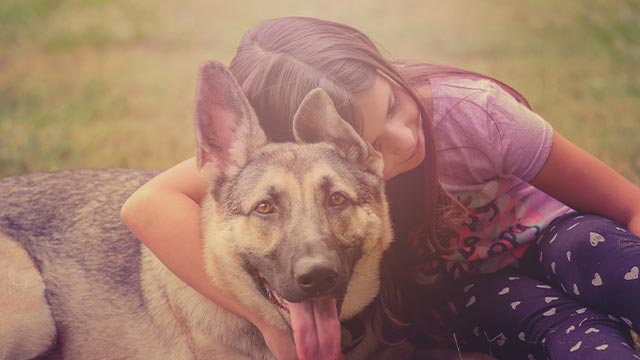 httpshow to protect your children from dog bites in new jersey